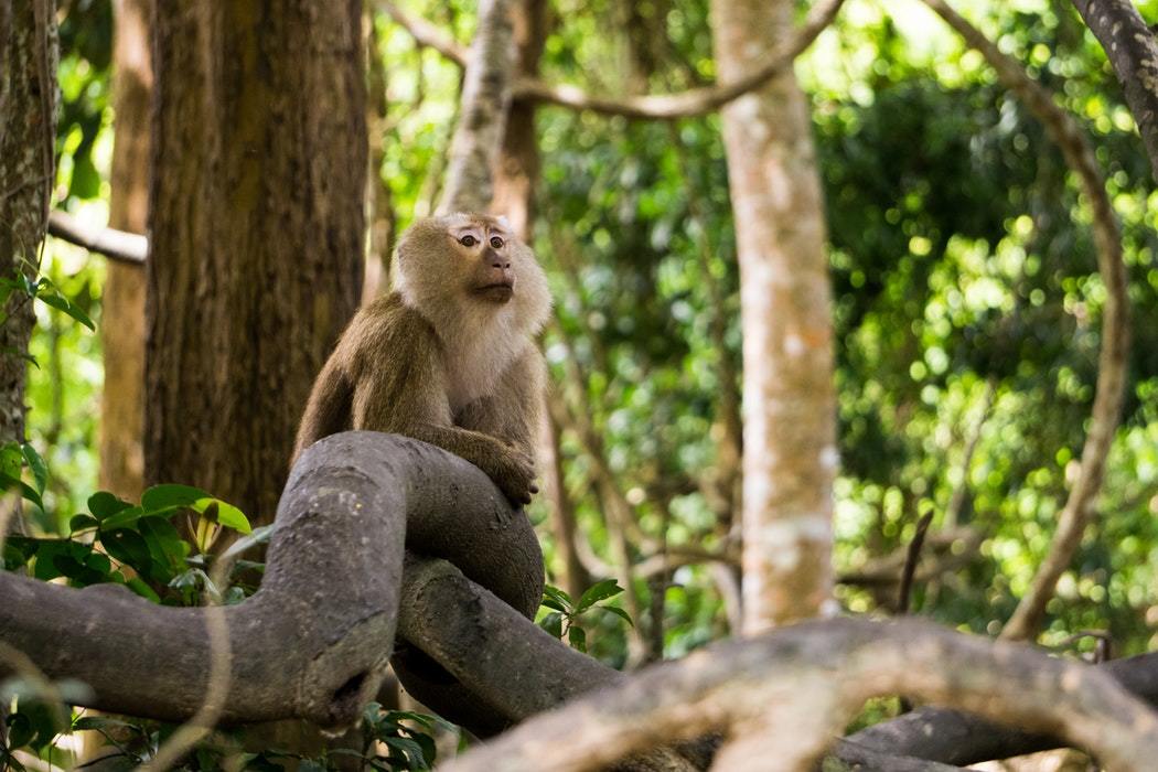 Hiken in Loei