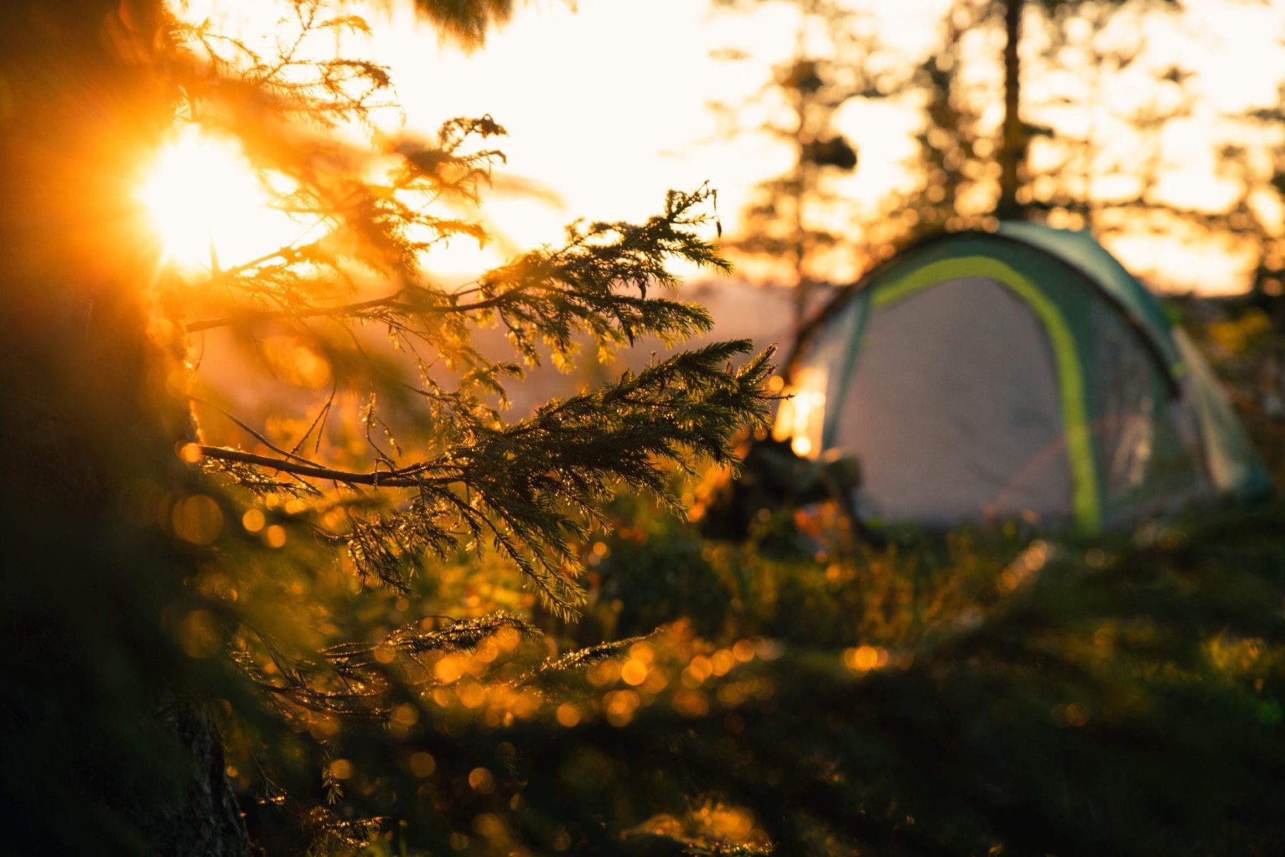 Wildkamperen in Europa; in deze landen mag het - The Outdoors
