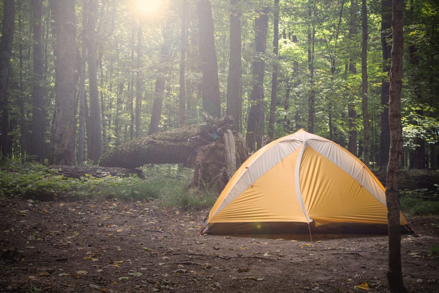 Wildkamperen in Europa; in deze landen mag het - The Outdoors