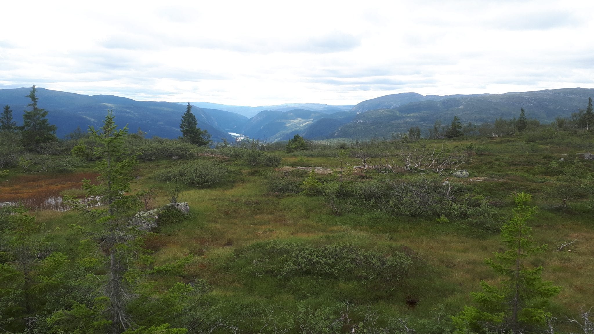 Hommefjellet Mountain Trail