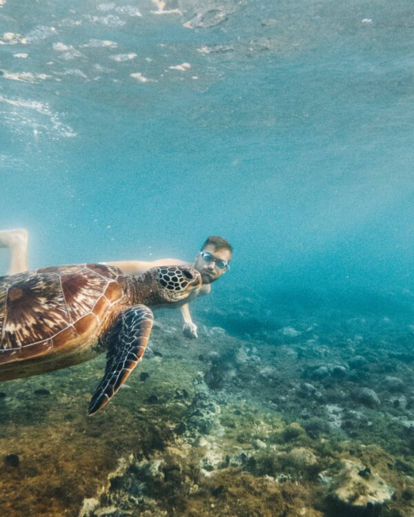 Apo island