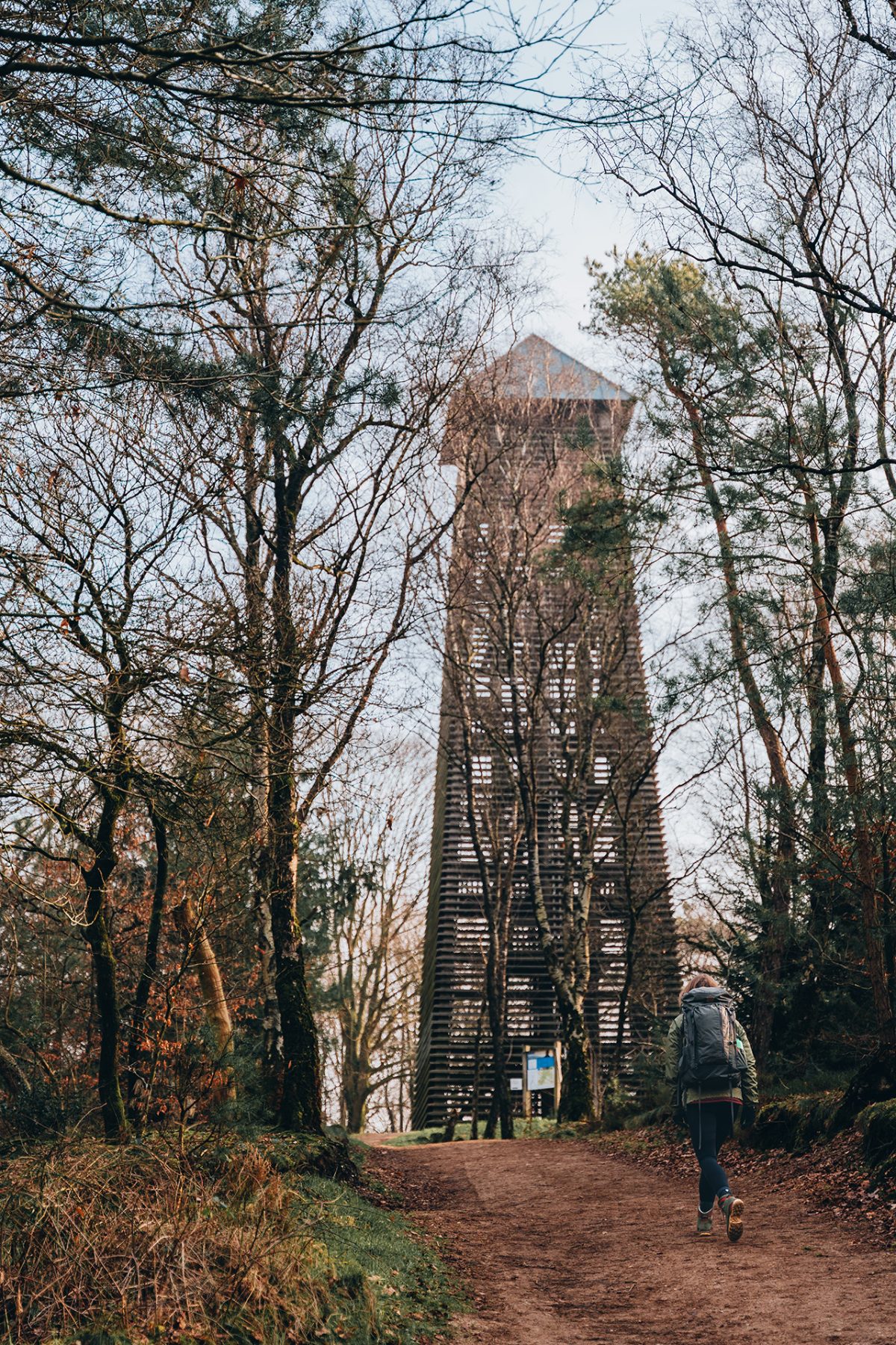 Montferlandse heuvels