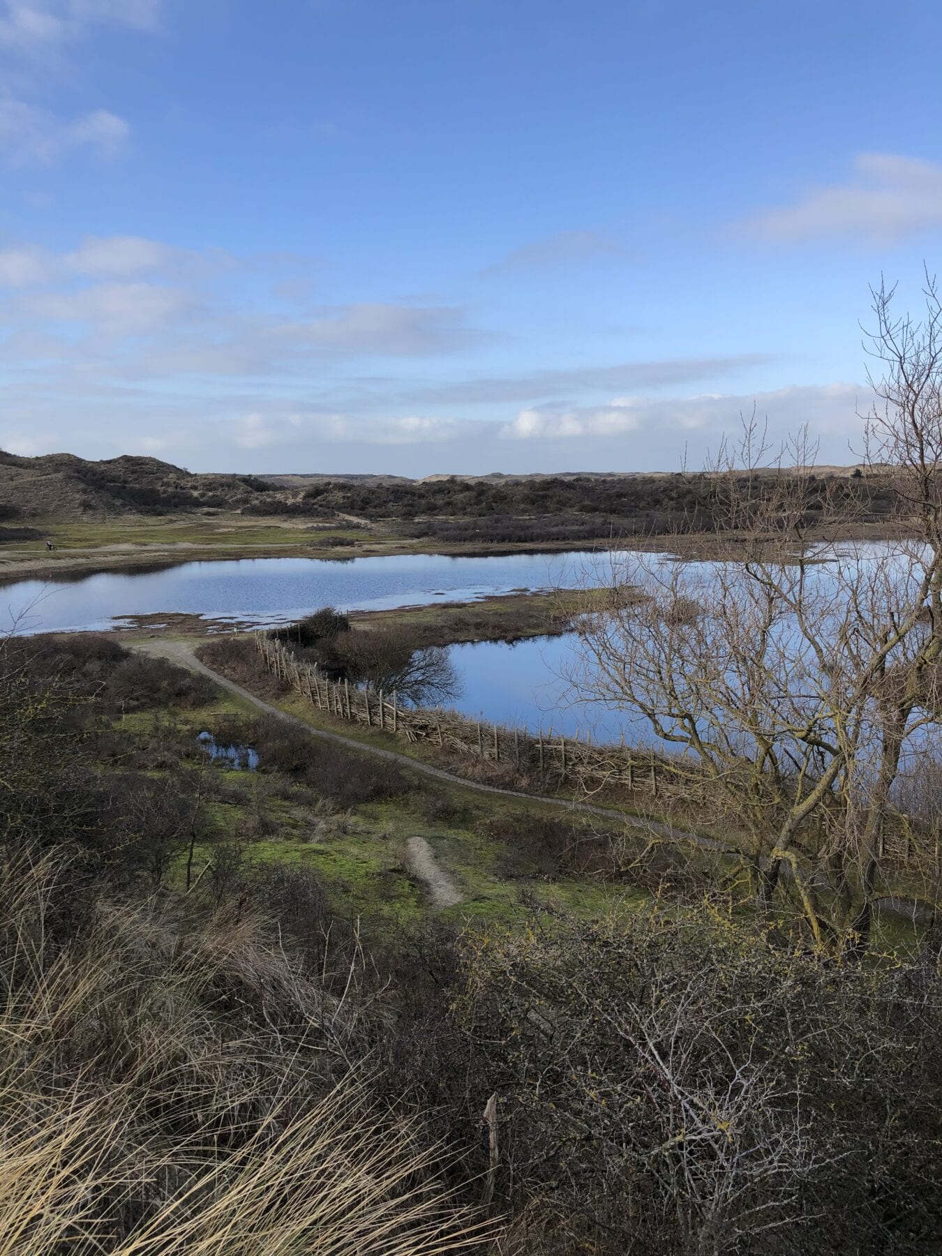 Wandelen Kennemerduinen