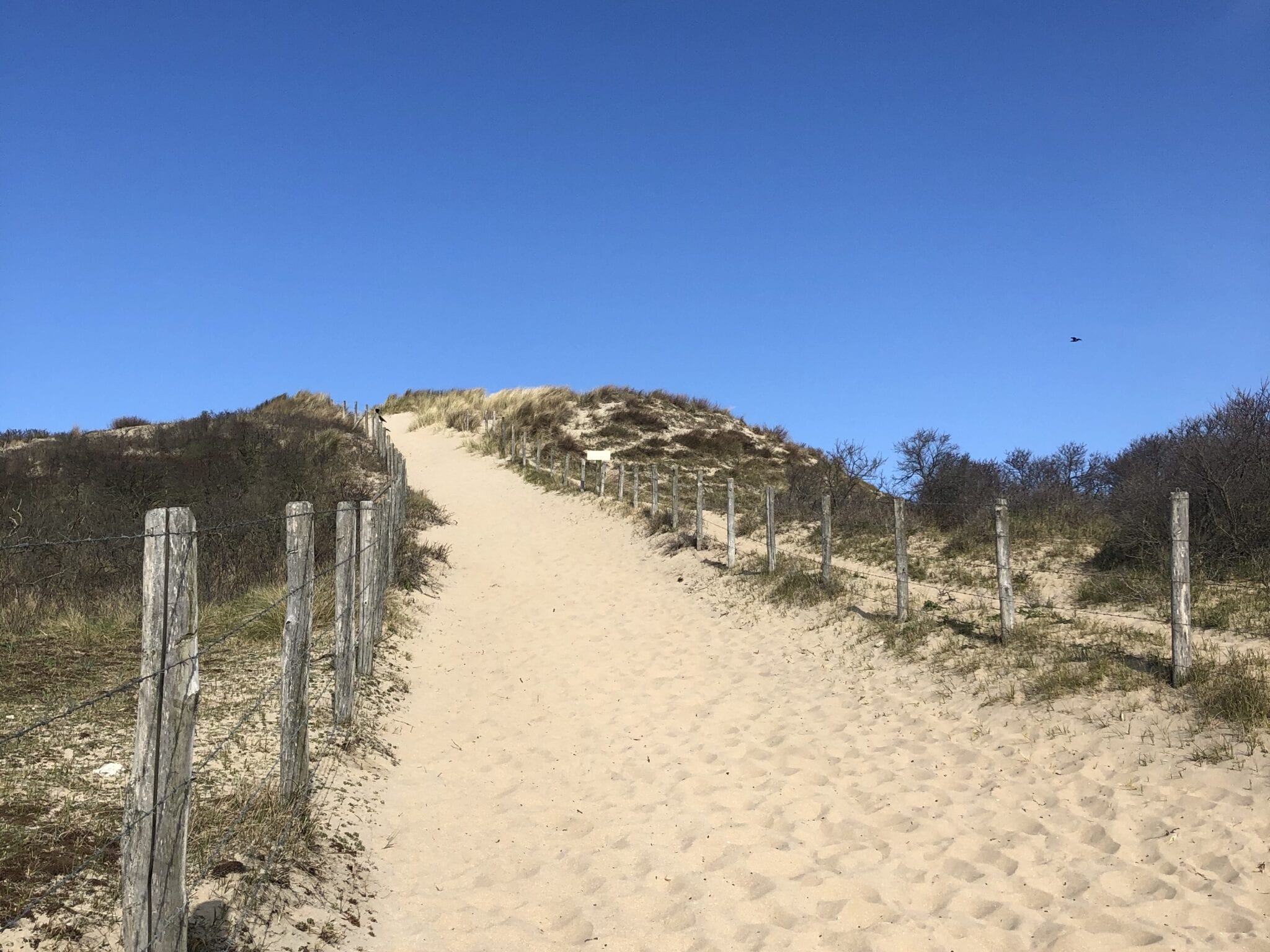 Wandelen Kennemerduinen