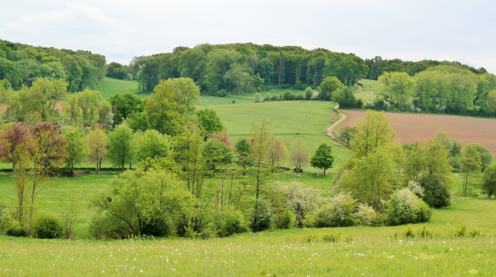 Heuvels Zuid-Limburg