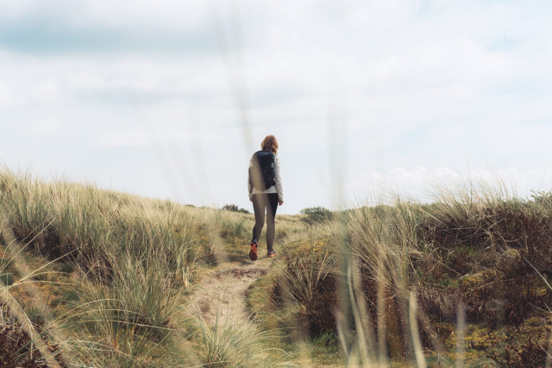 Wandelen door de duinen in de Kop van Noord-Holland