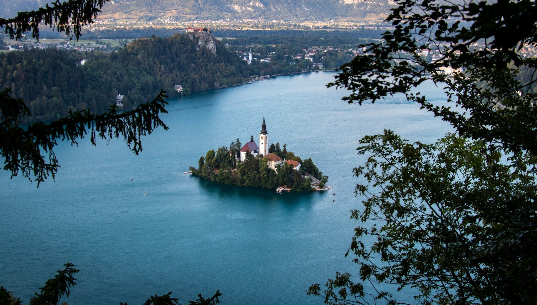 Slovenië grenzen open Corona