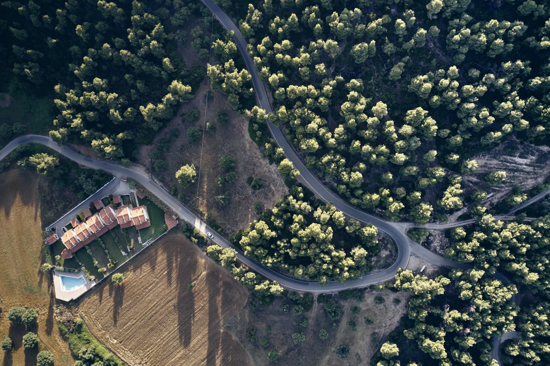 Wanneer begint de zomer? Op 1 juni of 21 juni? - The Outdoors