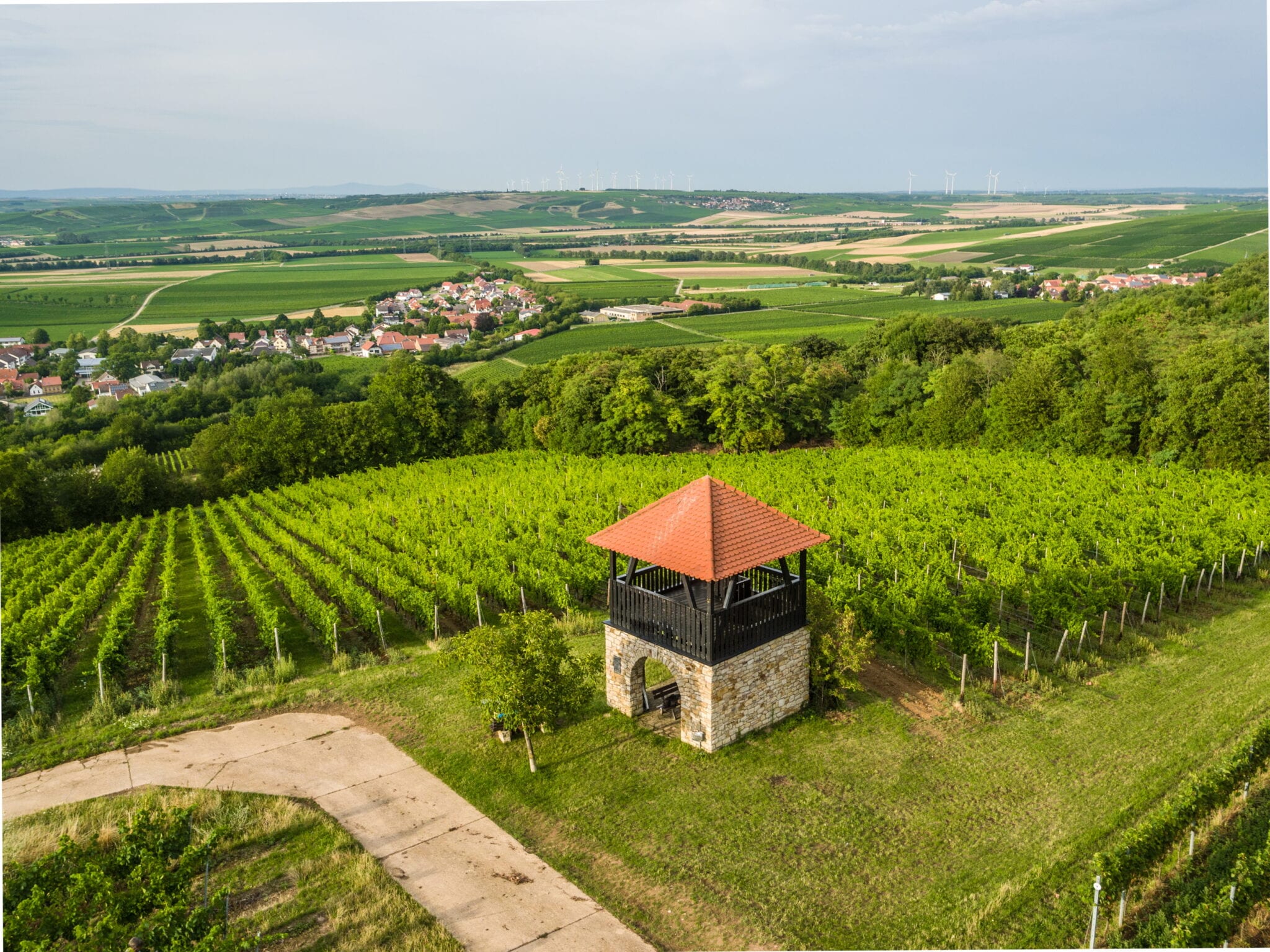 Rheinhessen