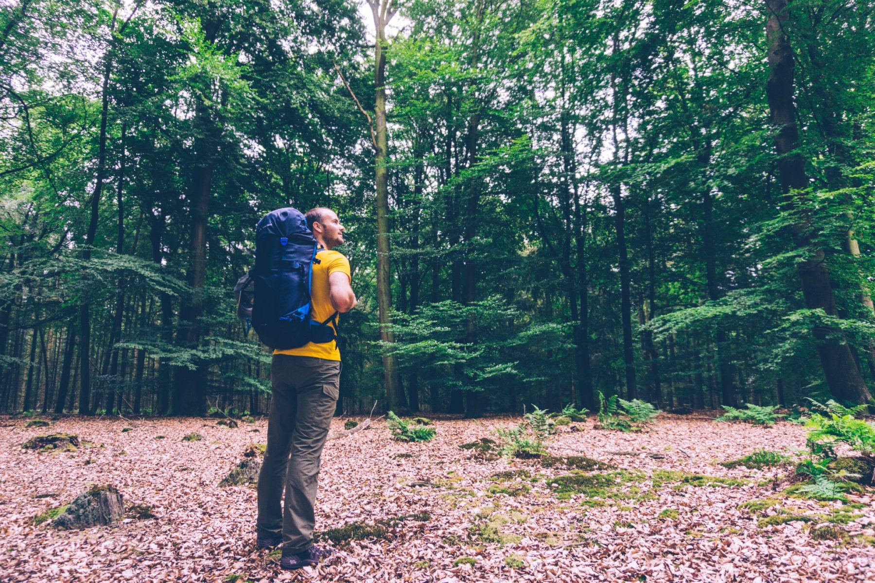Wandelen in de Drentsche Aa