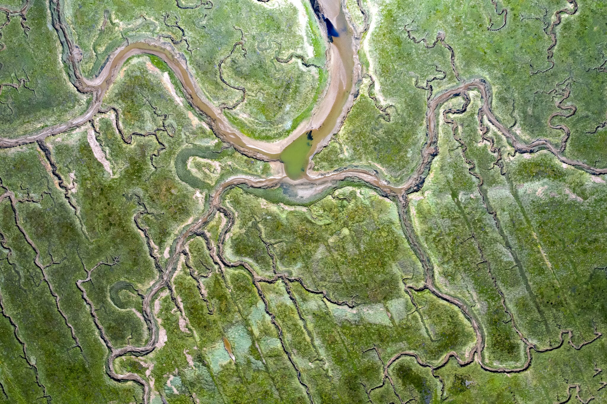 Nationaal Park Oosterschelde