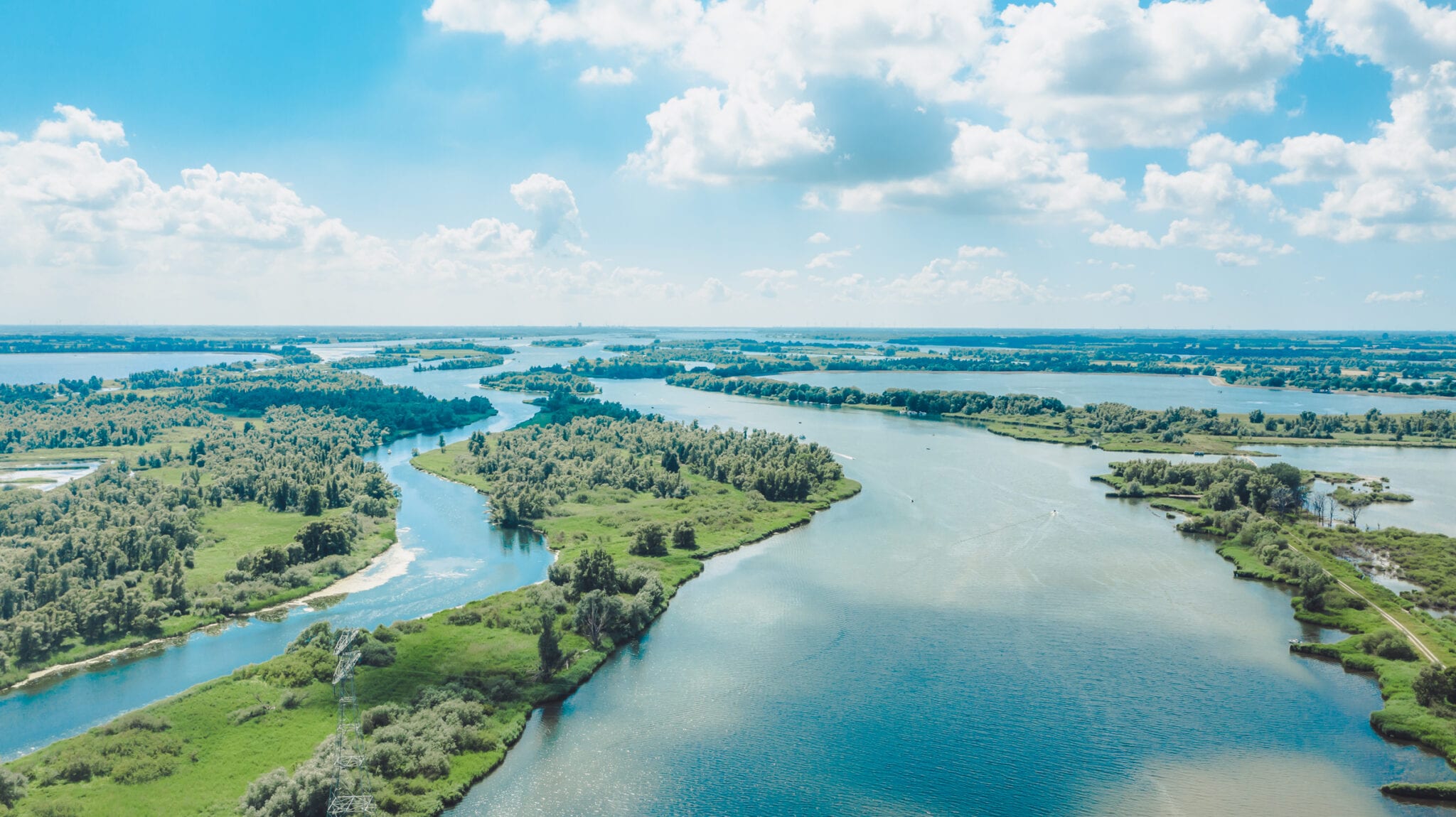 luchtfoto de Biesbosch