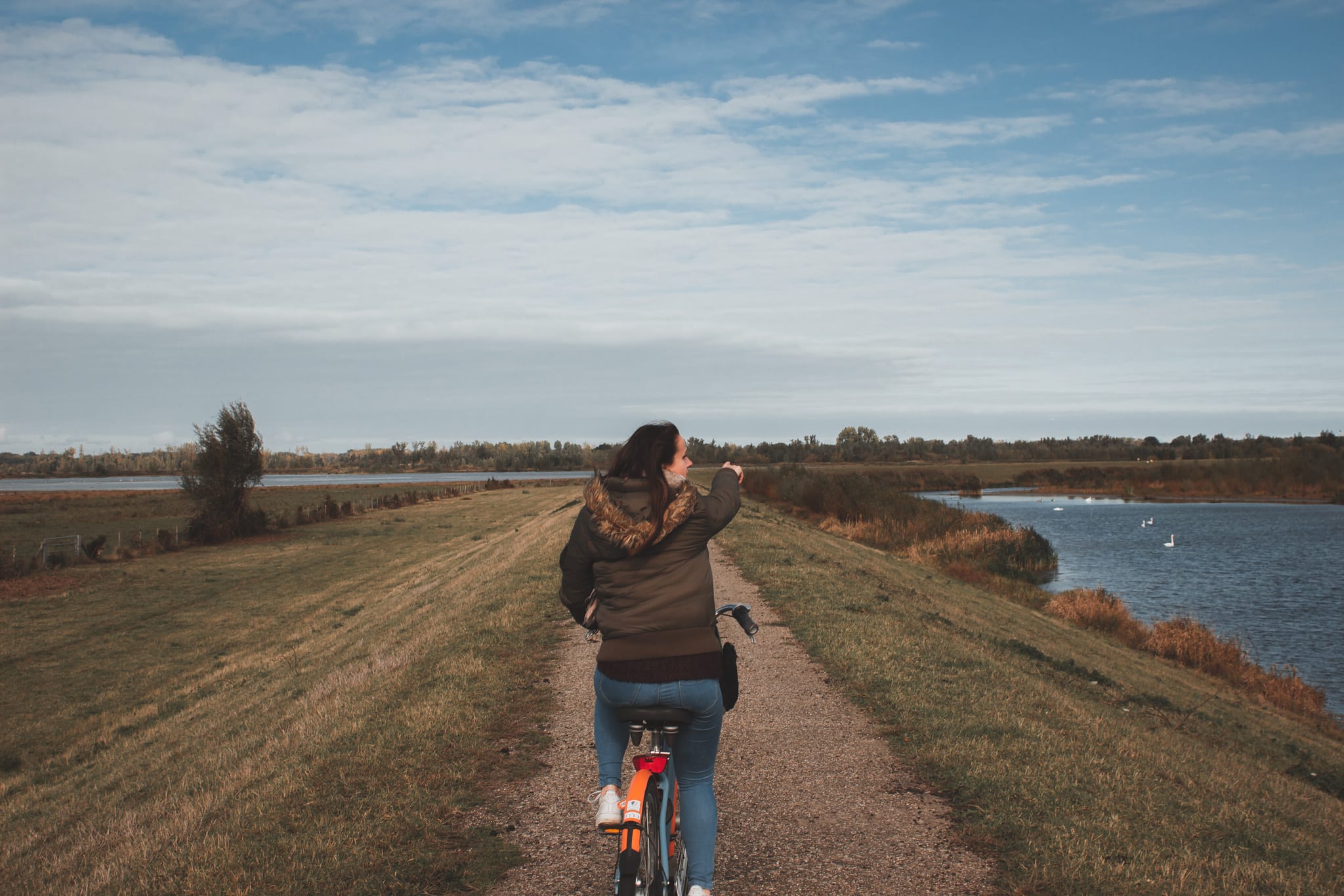 fietsen in Biesbosch