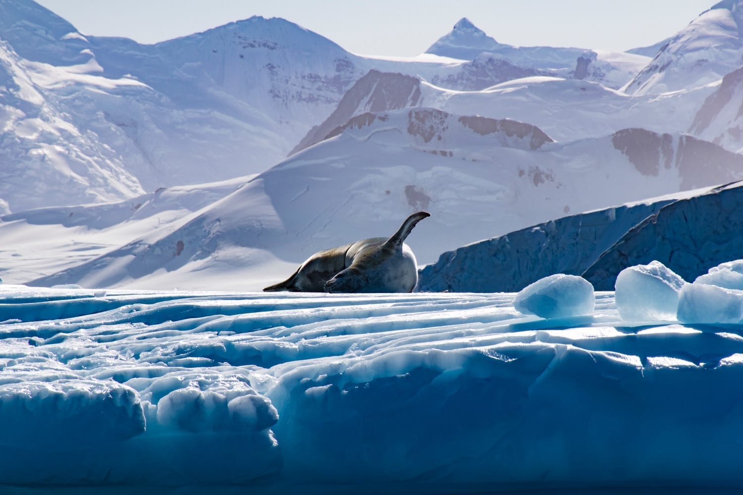 reis naar Antarctica