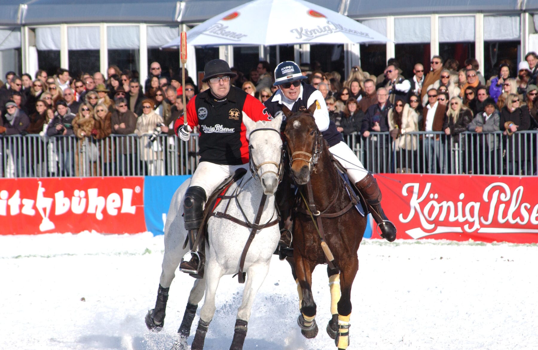 Ruige wintersporten snowpolo paard