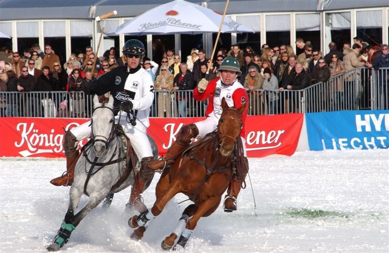 Ruige wintersporten snowpolo paard