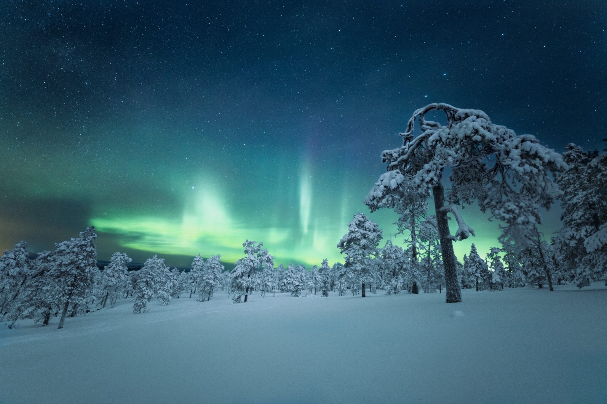 Lapland foto's header
