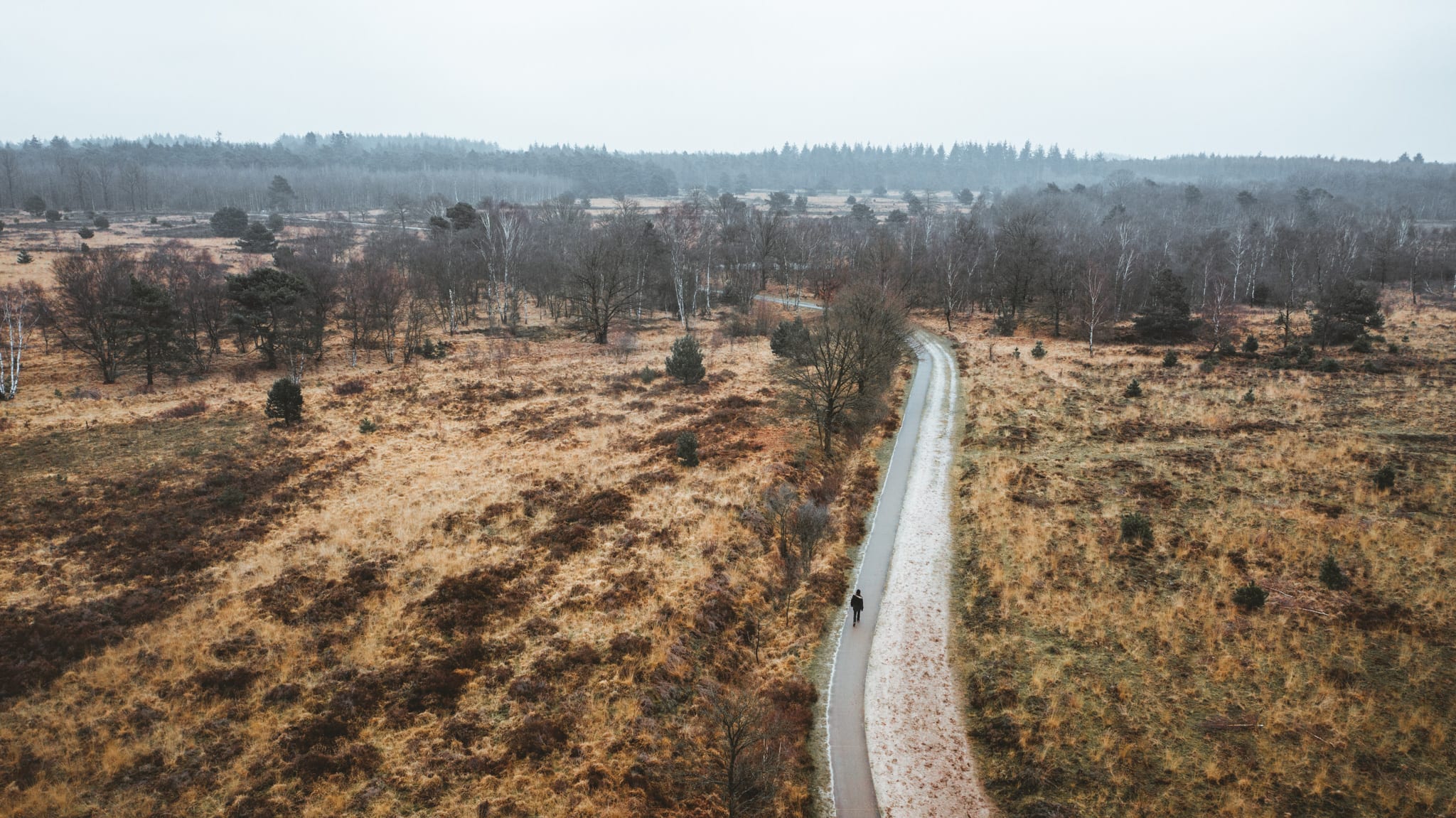 Wandelen in de kempen-Cartierheide