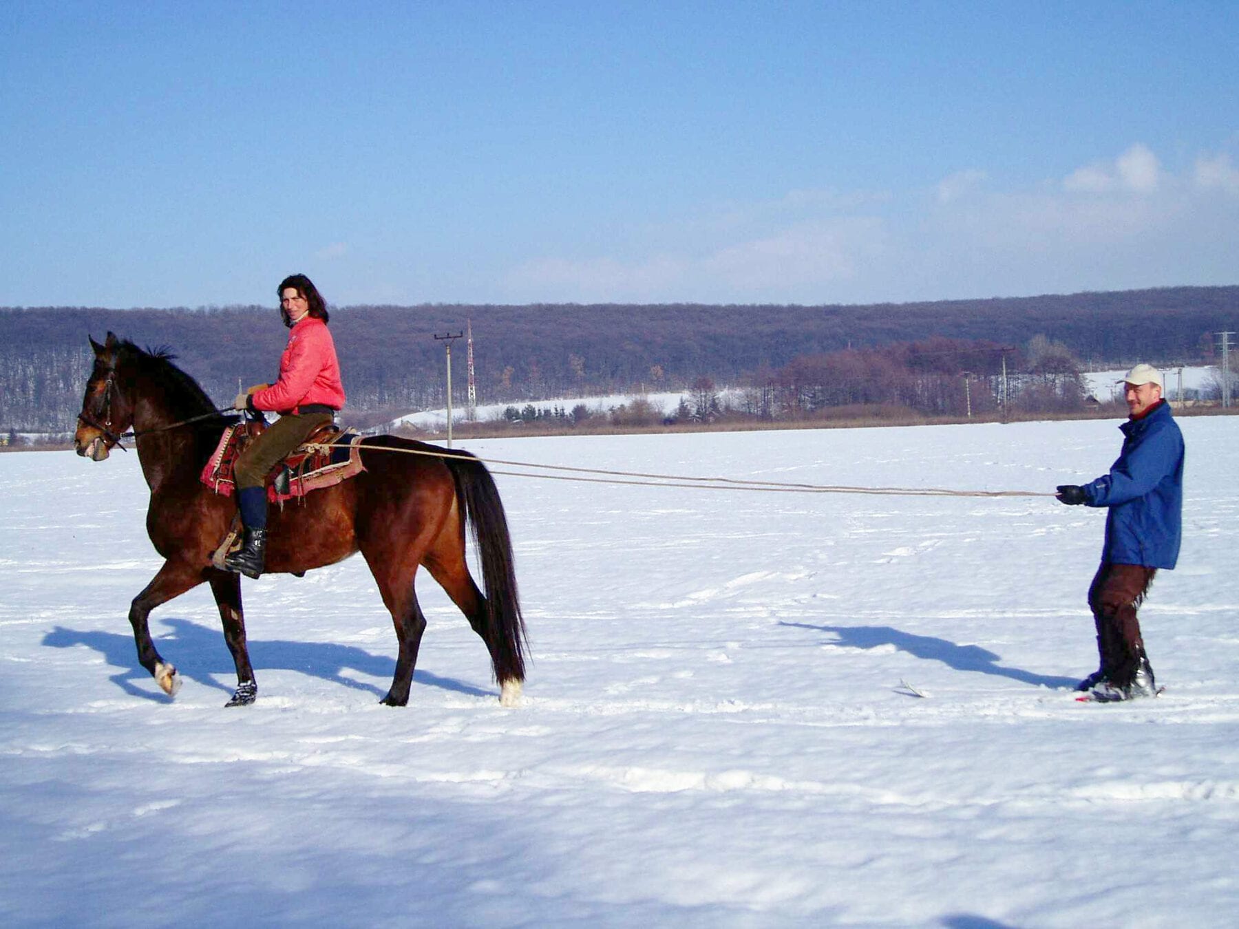 Ruige wintersporten Skijøring paard