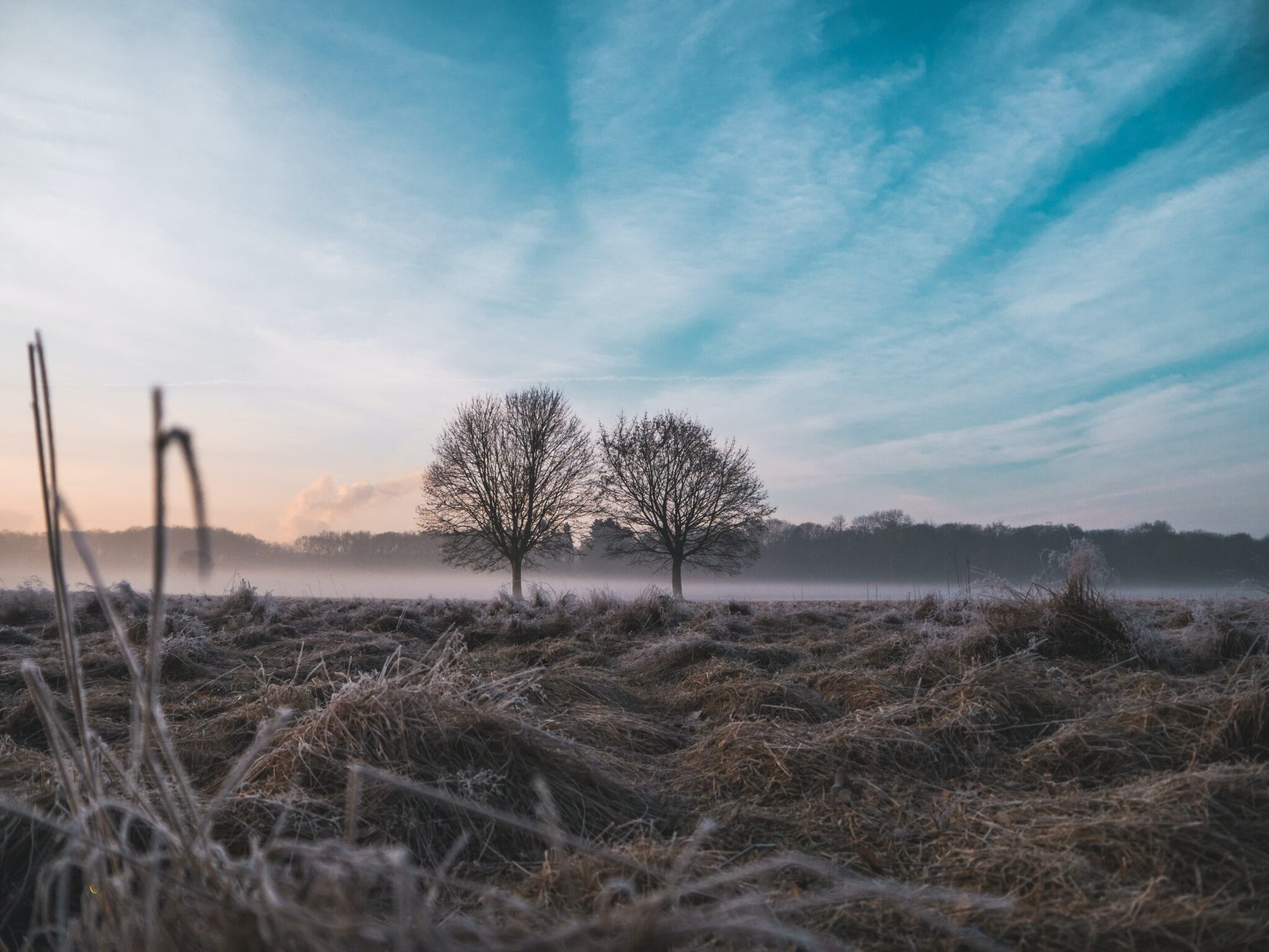 Waarom ochtend wandelen goed voor je is zonsopkomst ochtend