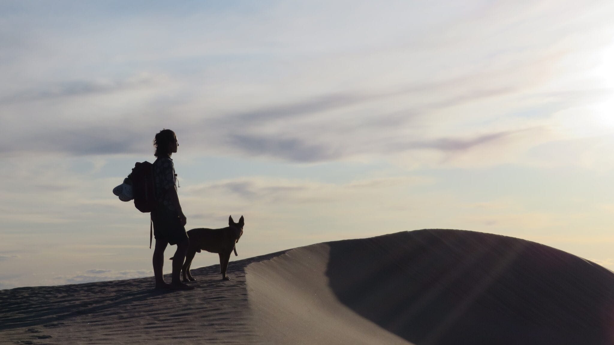 Hond mee op vakantie