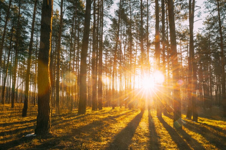 Wanneer begint de lente? Wij hebben voor jou het antwoord - The Outdoors