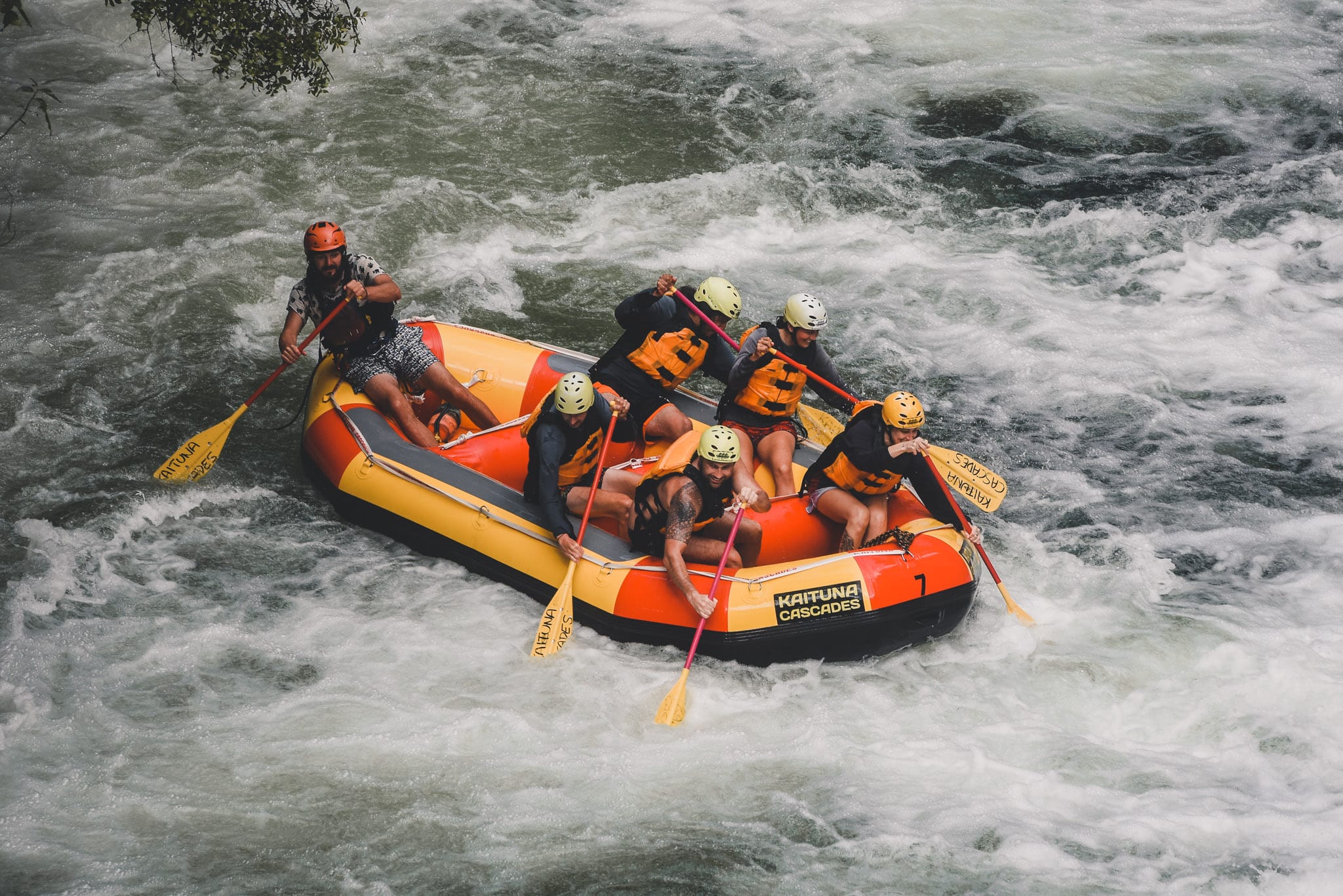 Kaituna rivier Tutea Falls Nieuw Zeeland header