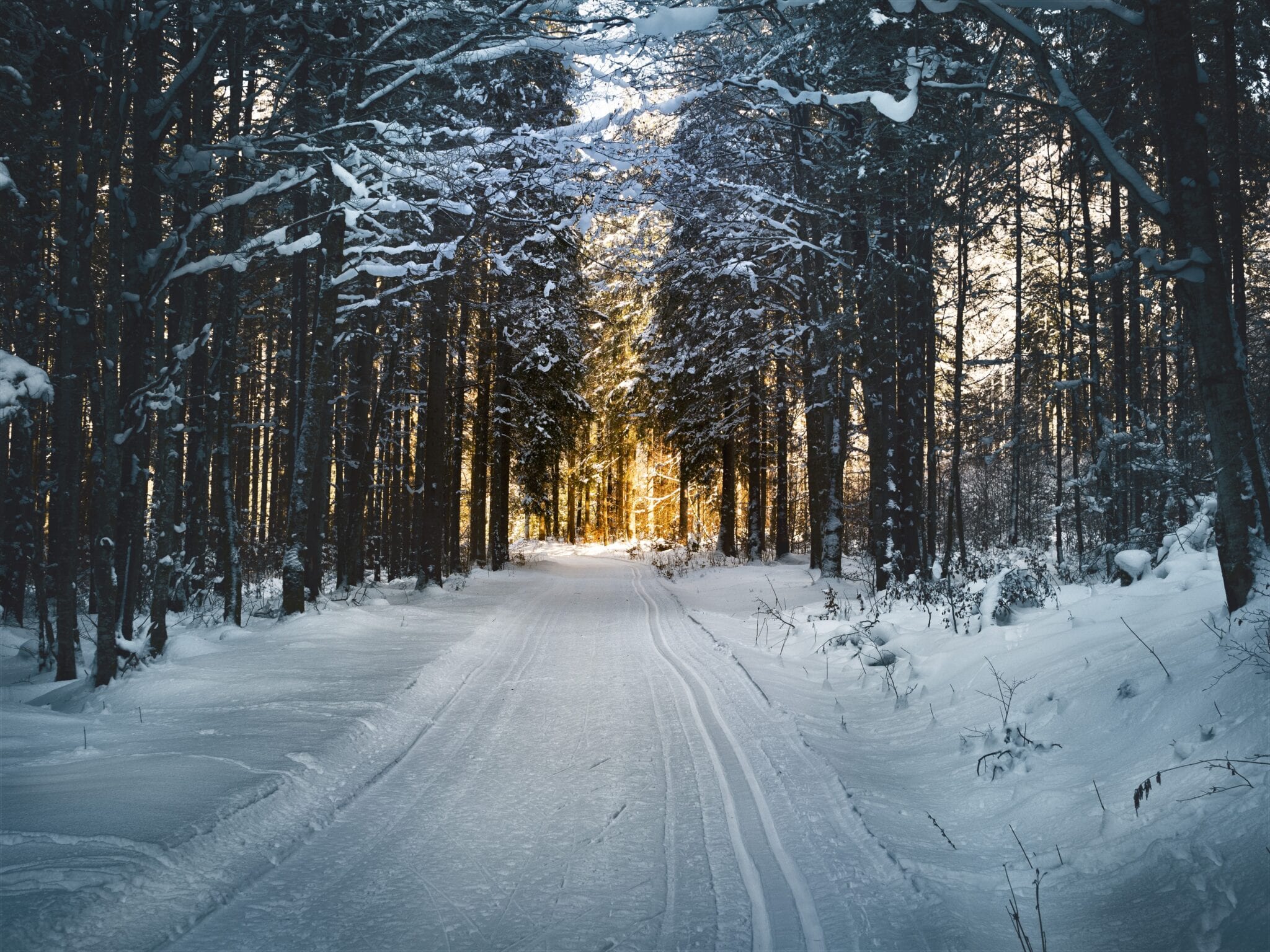 Langlaufen header