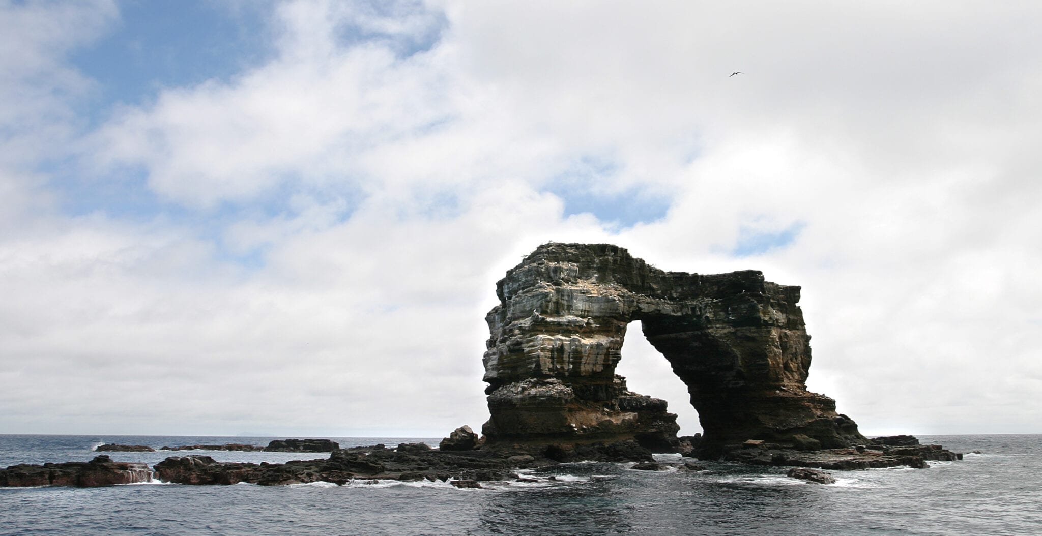 Darin's Arch