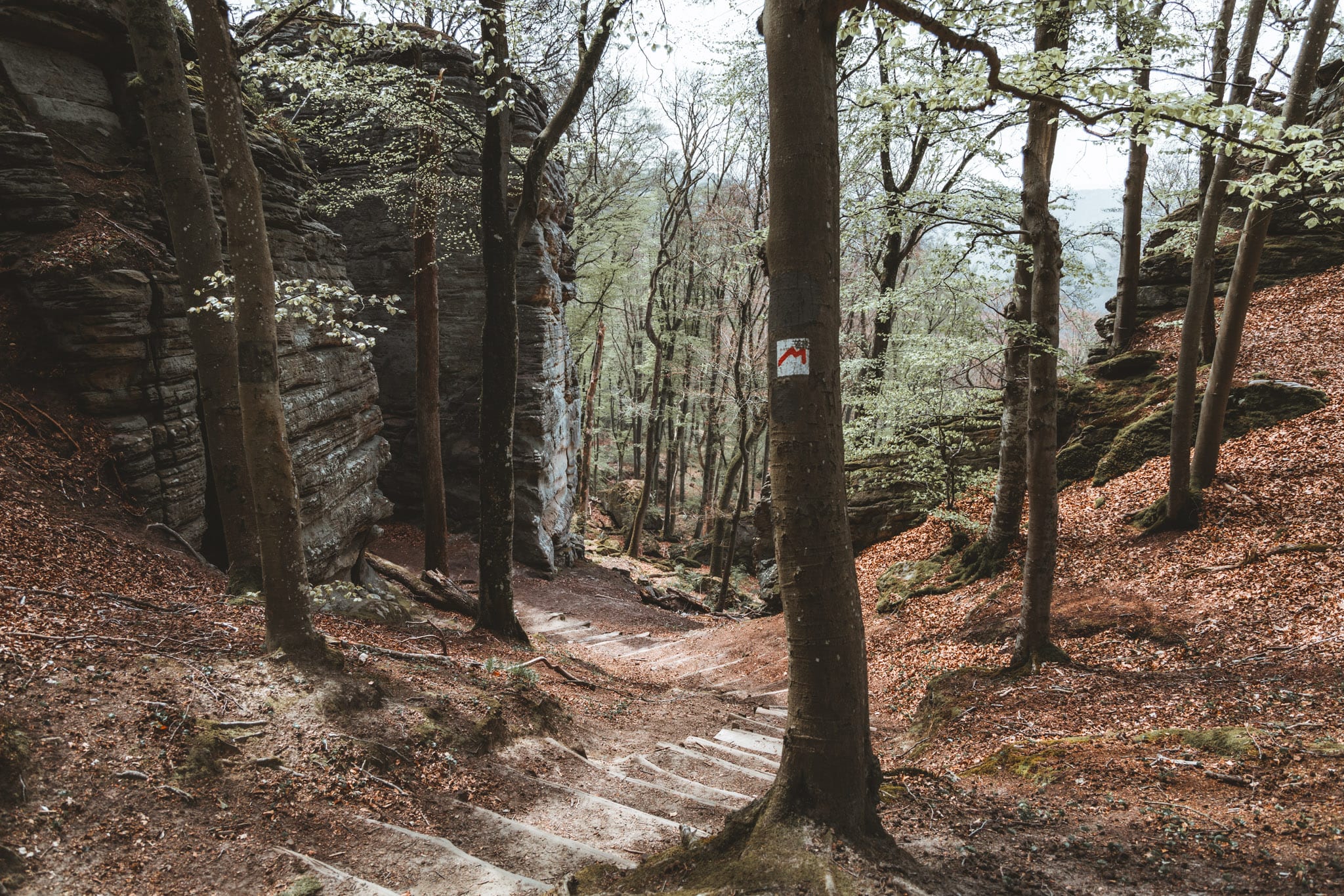 Mullerthal Trail Groothertogdom Luxemburg 2021 53