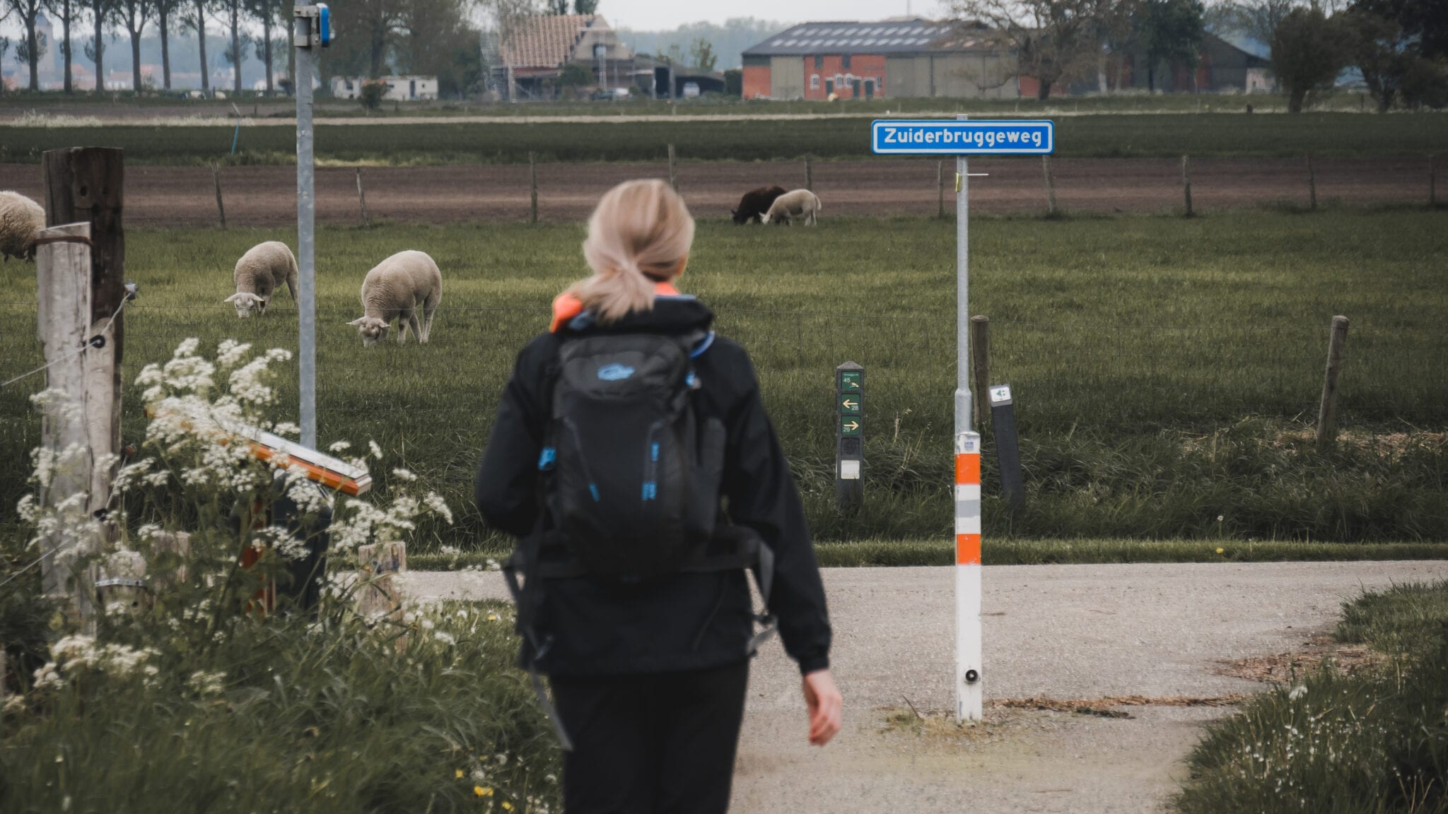 De Biezen - West-Zeeuws-Vlaanderen Header