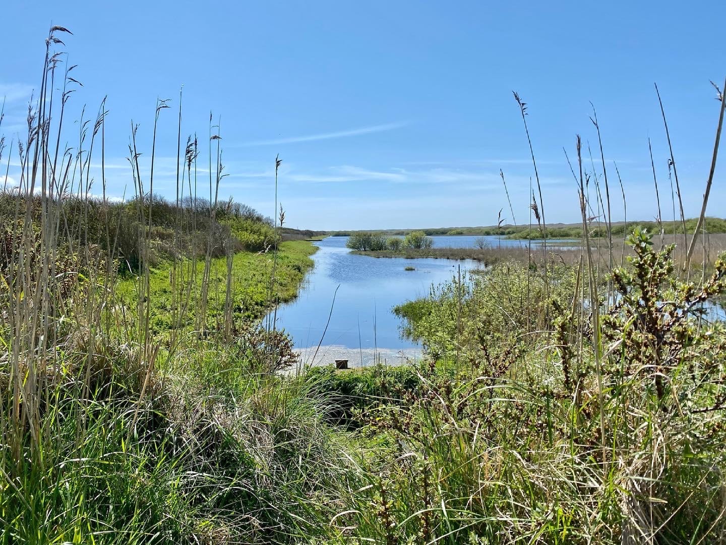 vlieland