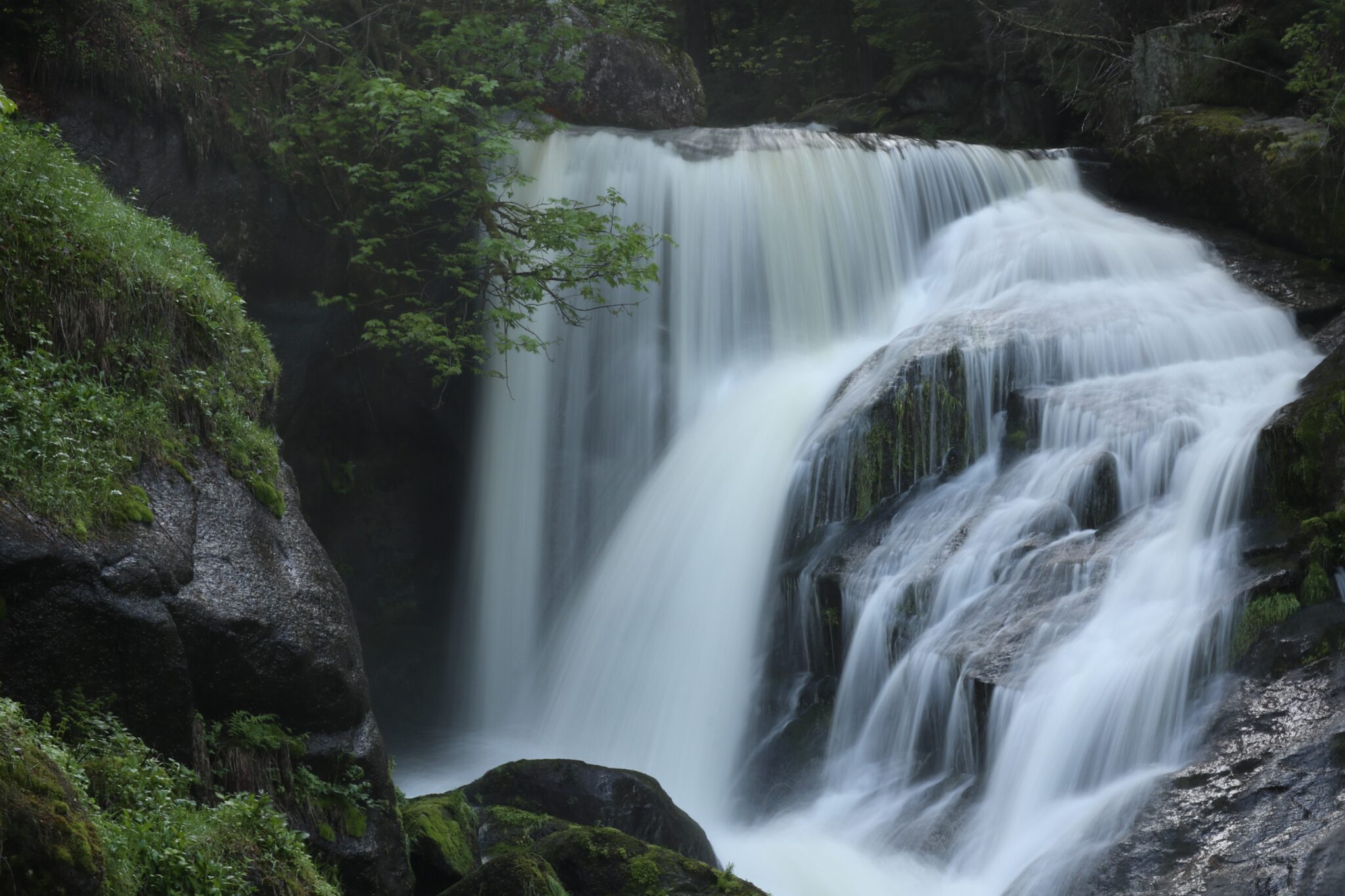 Watervallen Zwarte Woud