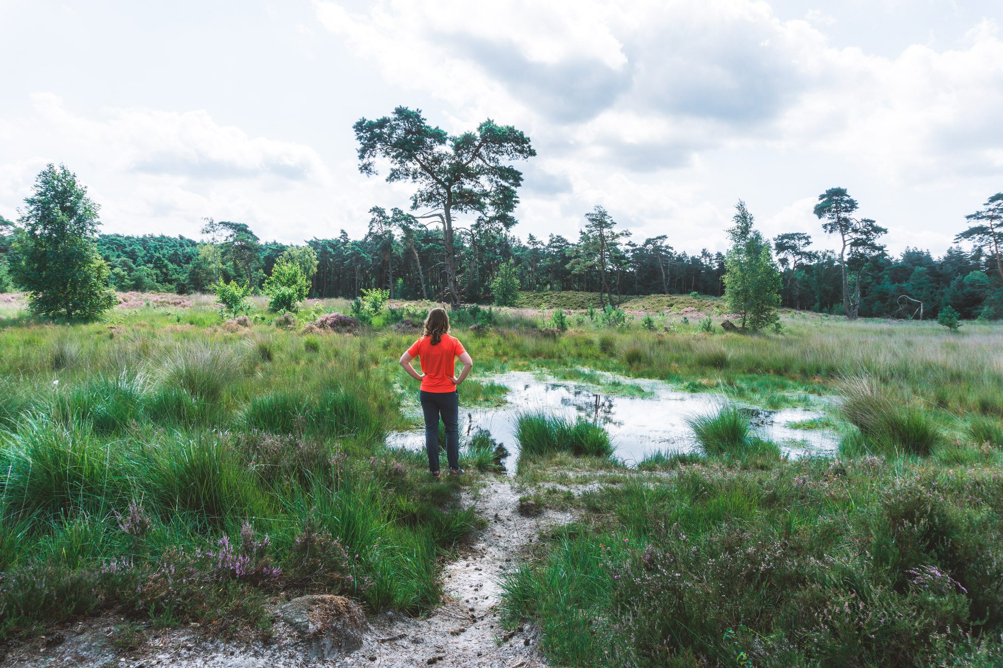 Kalmthoutse Heide vennen