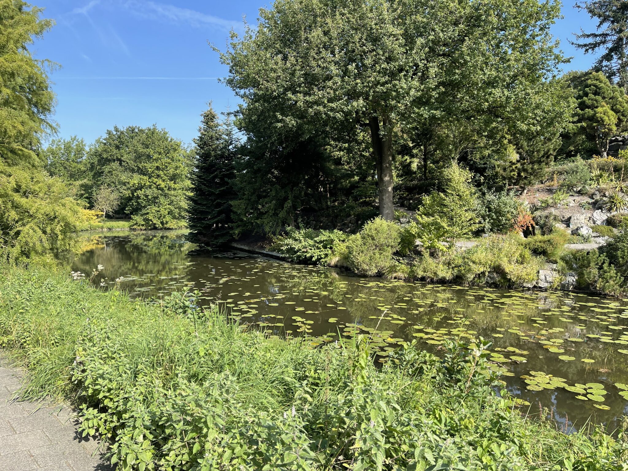 botanische tuinen utrecht