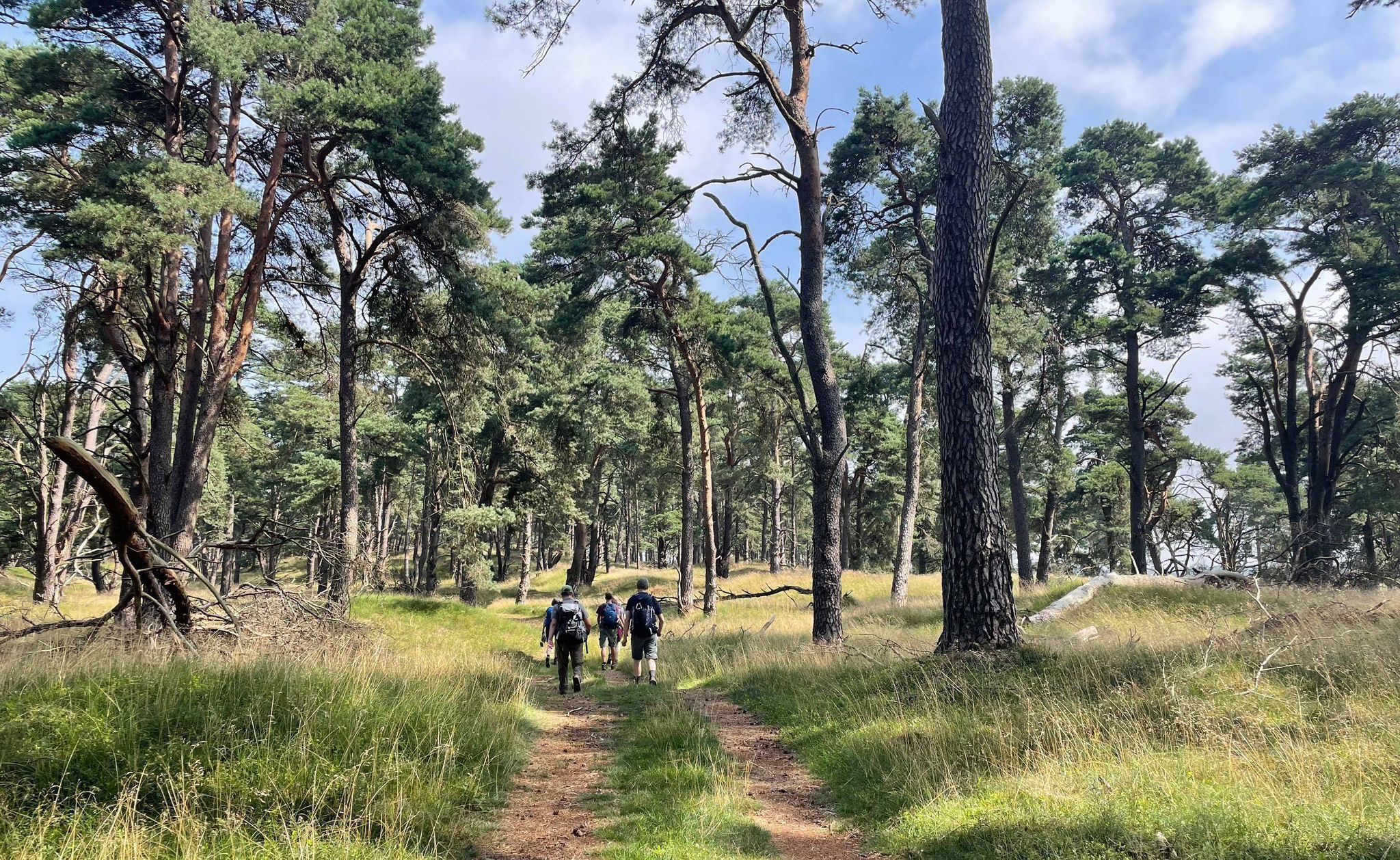 Nationaal Park Hoge Veluwe