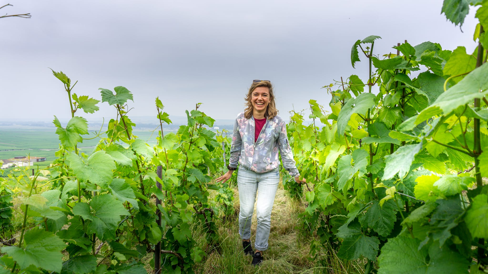 Champagnestreek Frankrijk