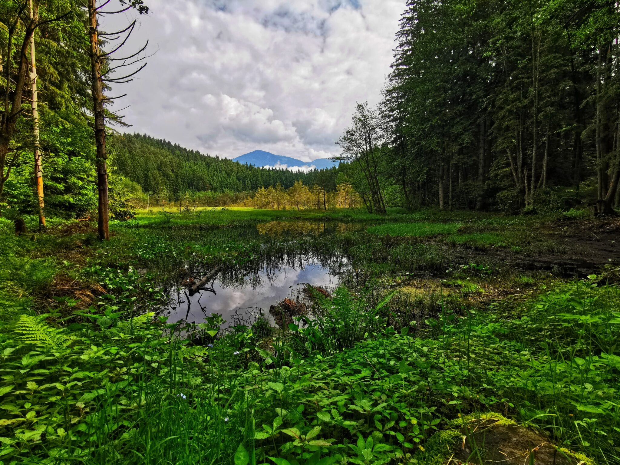 Egelsee-Karinthie Oostenrijk