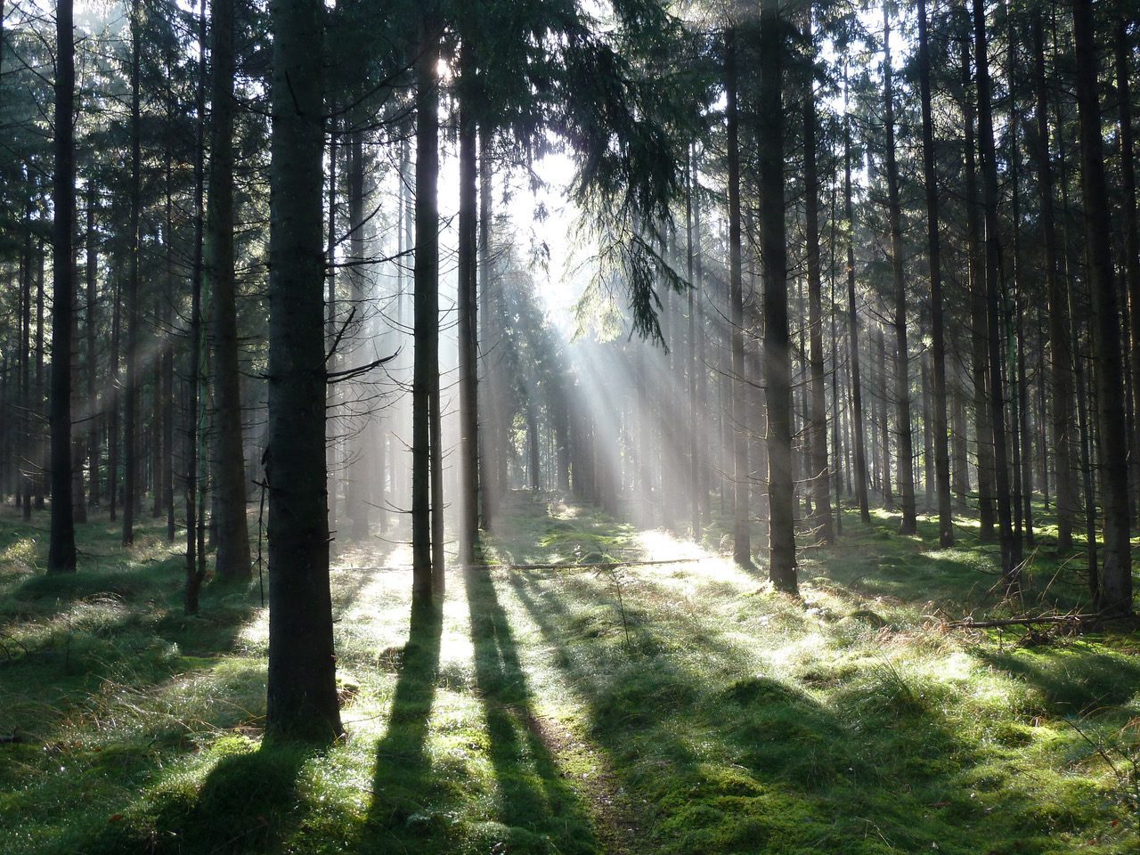 herfst in Drenthe