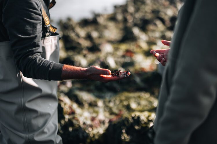 Talisker whisky adventures oester