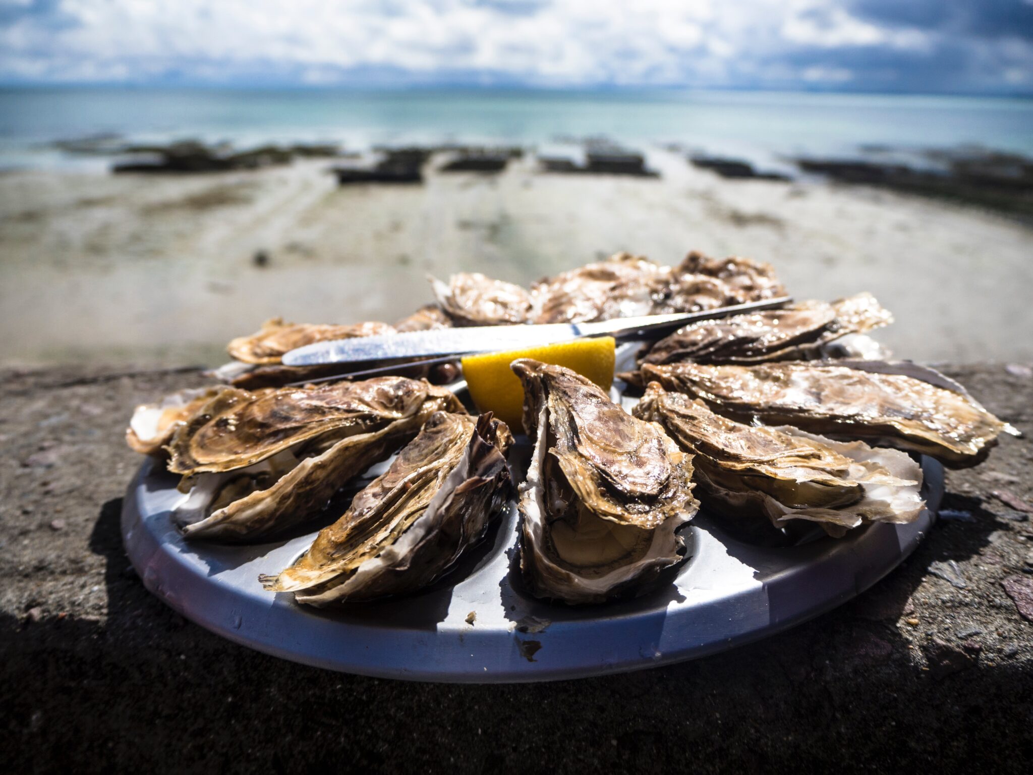 oesters rapen