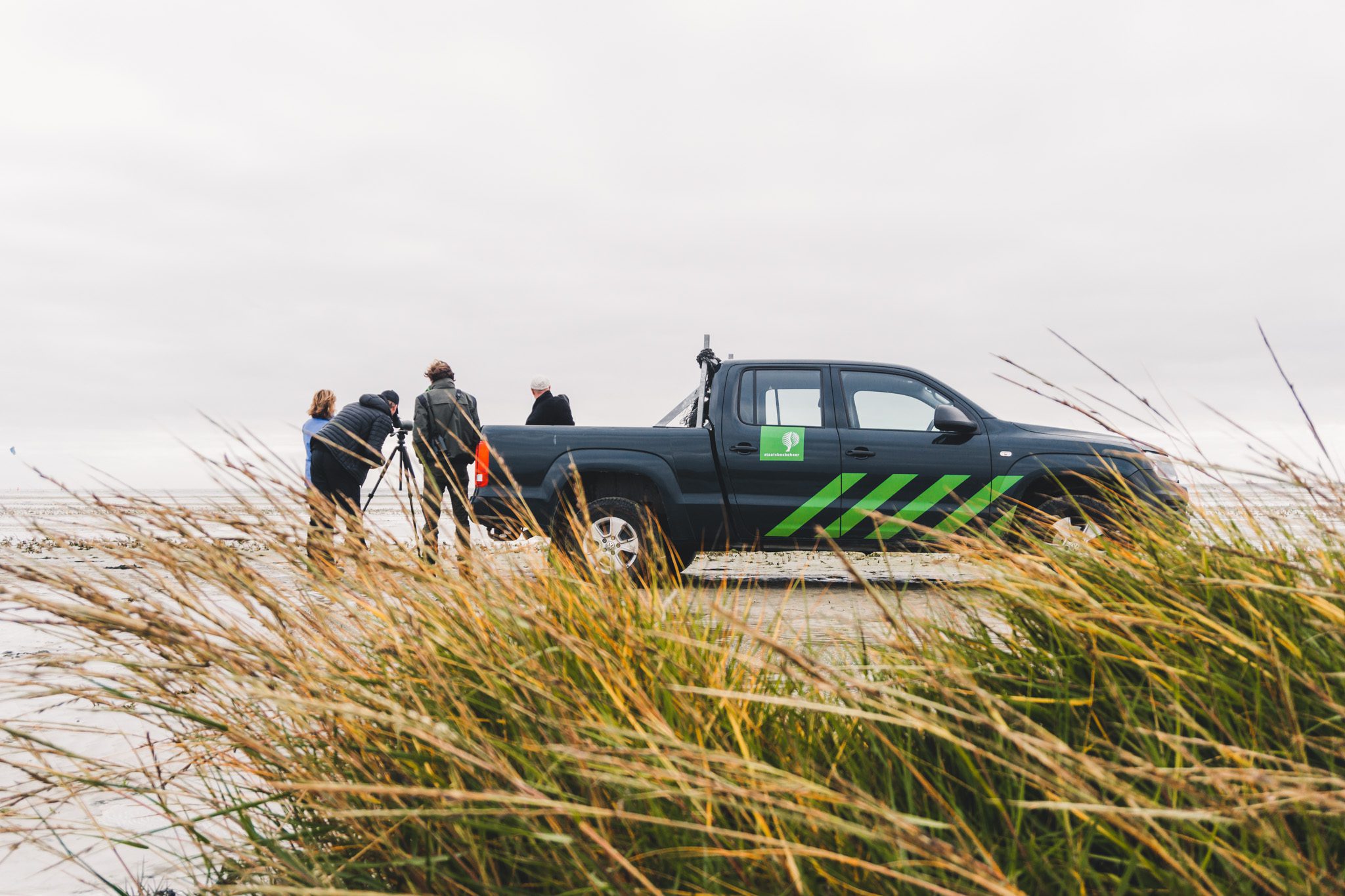 Trekvogels op Terschelling Boswachter header