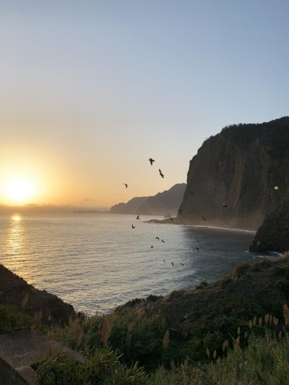 Campervan Madeira