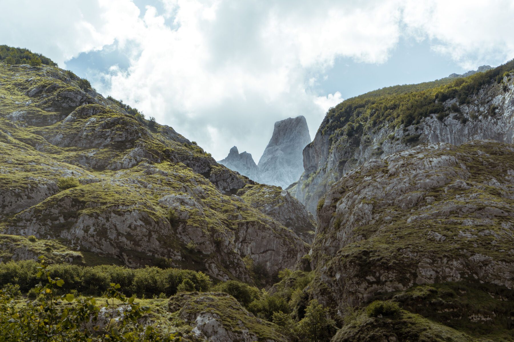 Picos de Europa