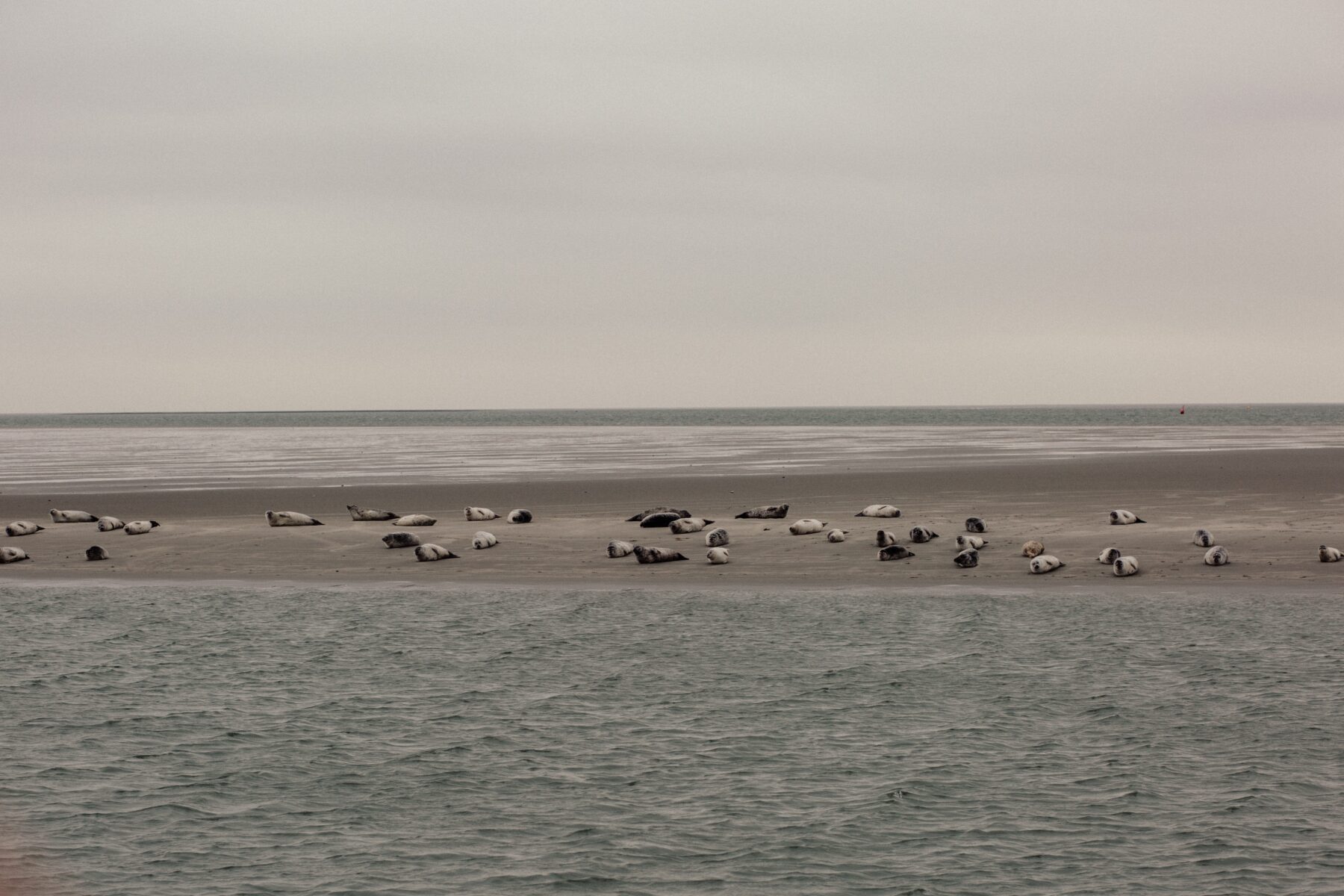 Dive into the deep: hoe diep is de Noordzee eigenlijk? - The Outdoors