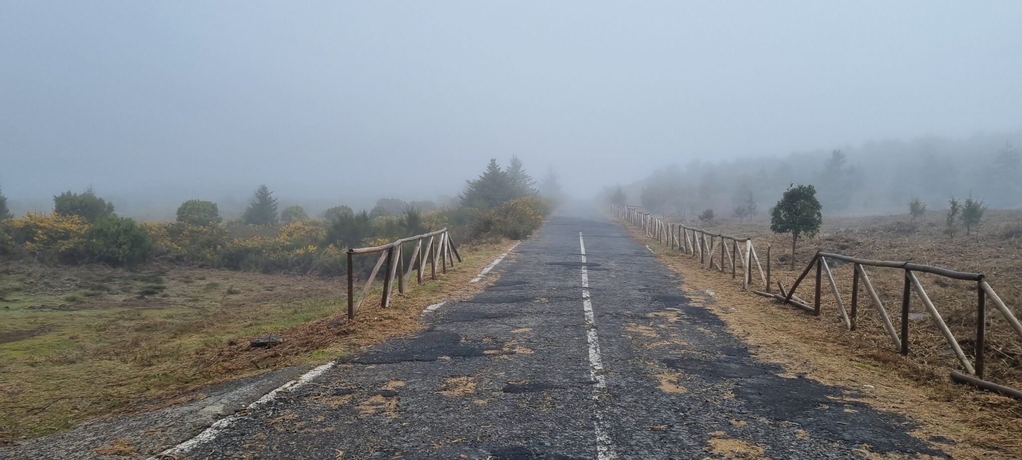 5 hoogtepunten van onze jeepsafari op Madeira.