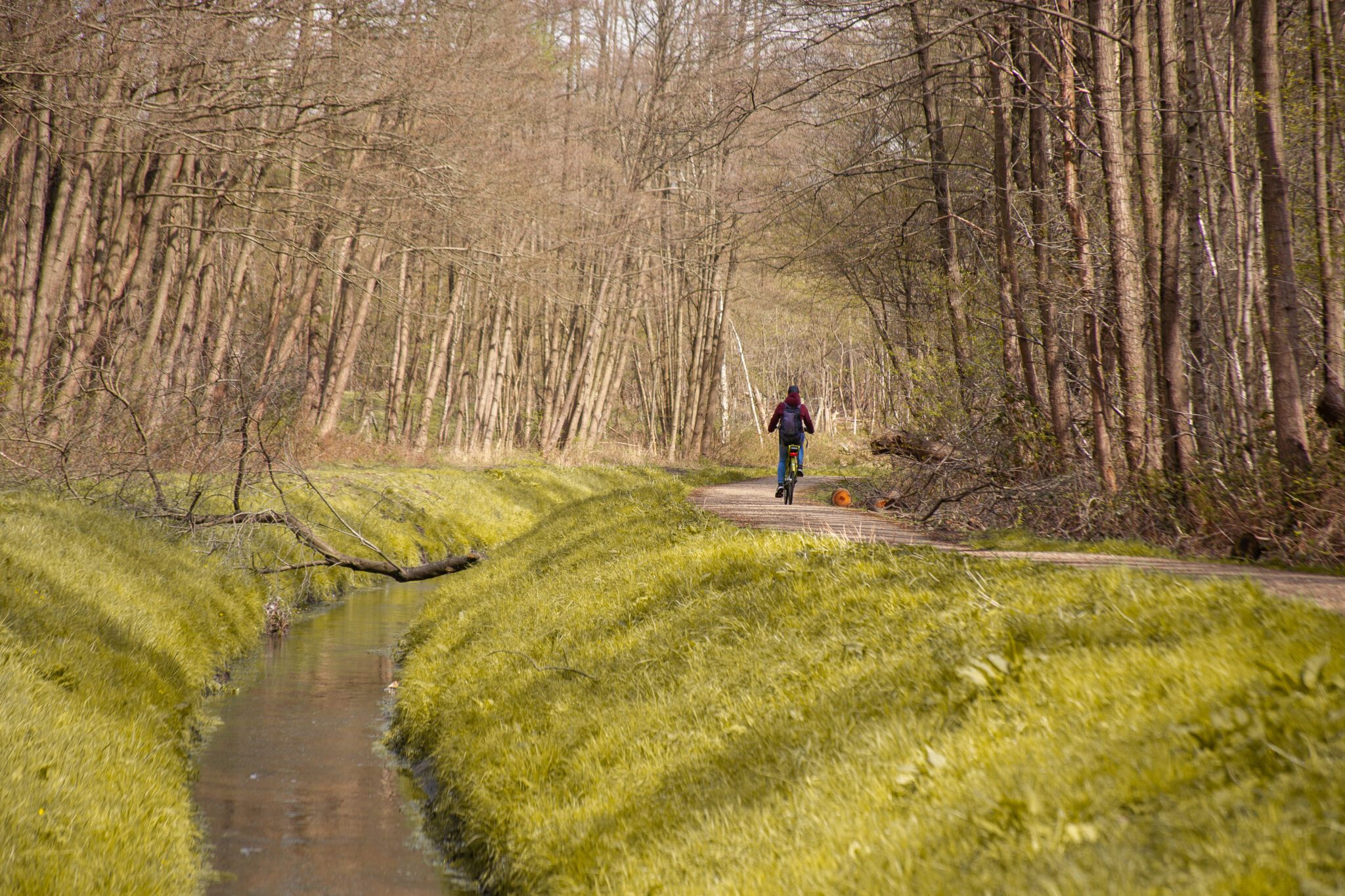 fietsen Belgisch Limburg