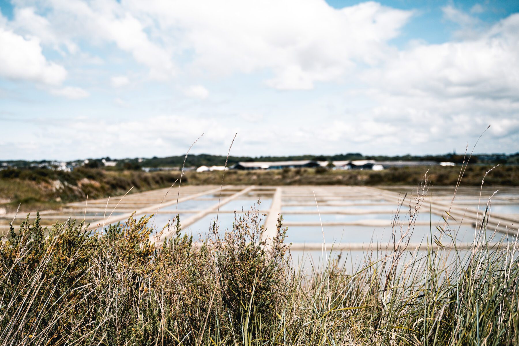 terre de sel guerande