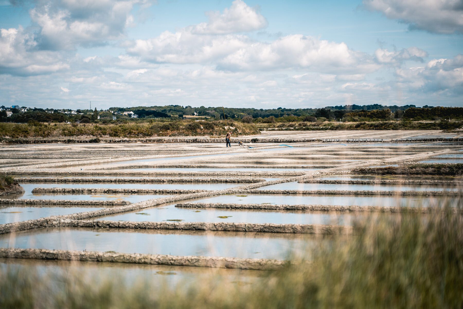 roadtrip bretagne-terre de sel