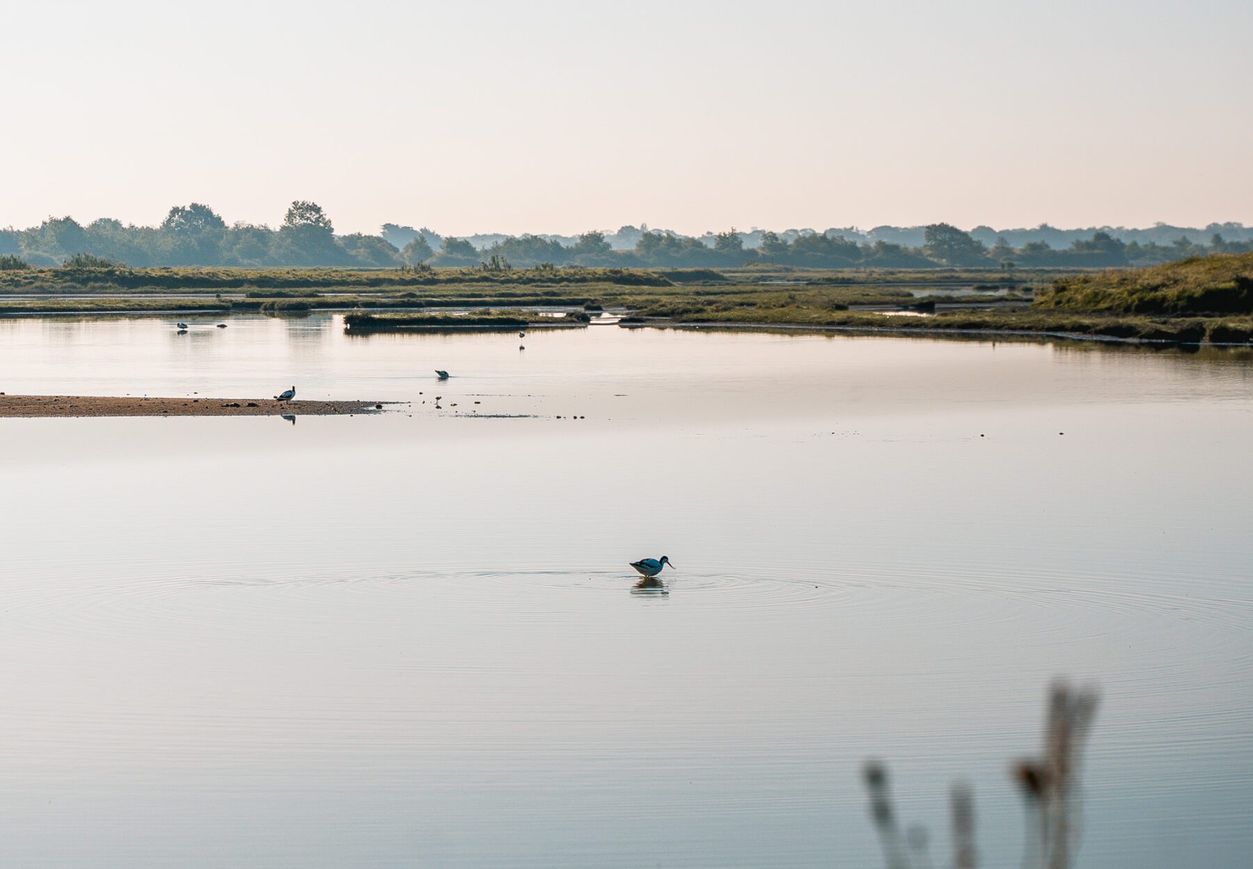 bretagne-morbihan